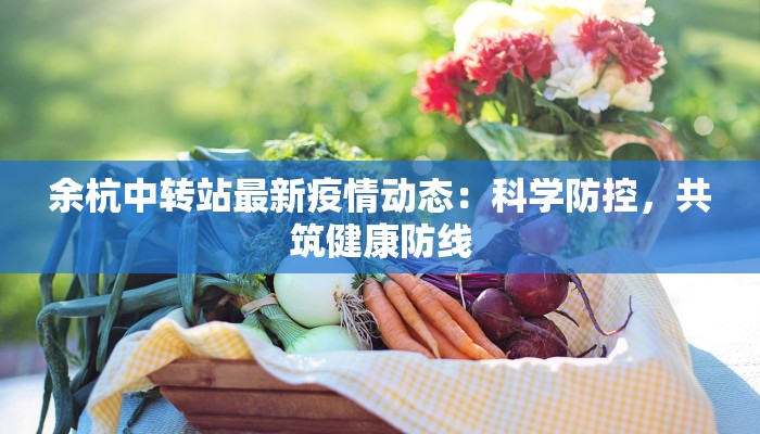 余杭中转站最新疫情动态：科学防控，共筑健康防线
