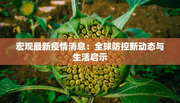 宏观最新疫情消息：全球防控新动态与生活启示