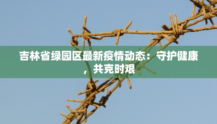 吉林省绿园区最新疫情动态：守护健康，共克时艰