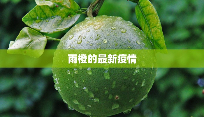 雨橙的最新疫情