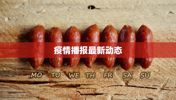 疫情播报最新动态