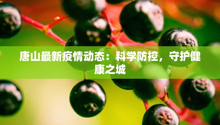 唐山最新疫情动态：科学防控，守护健康之城
