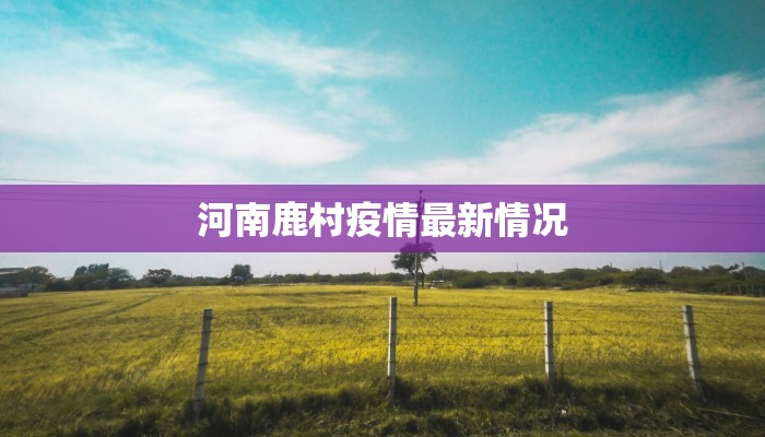 河南鹿村疫情最新情况