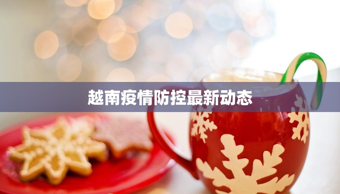 越南疫情防控最新动态