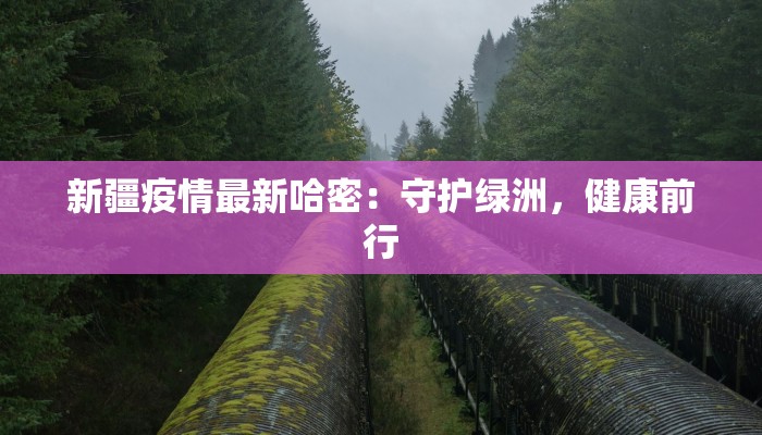 新疆疫情最新哈密：守护绿洲，健康前行