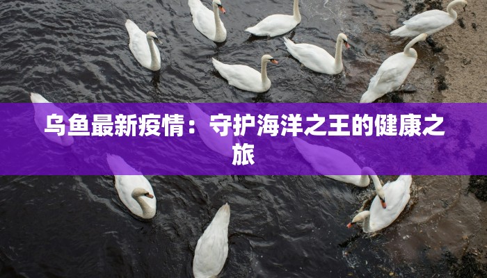 乌鱼最新疫情：守护海洋之王的健康之旅