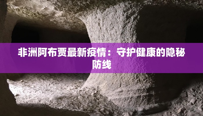 非洲阿布贾最新疫情：守护健康的隐秘防线