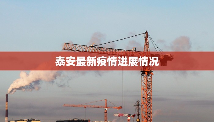 泰安最新疫情进展情况