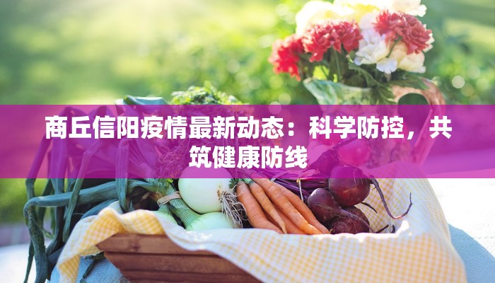 商丘信阳疫情最新动态：科学防控，共筑健康防线