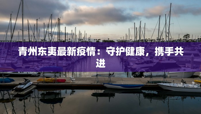 青州东夷最新疫情：守护健康，携手共进