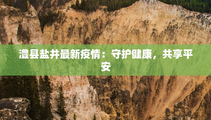 澧县盐井最新疫情：守护健康，共享平安