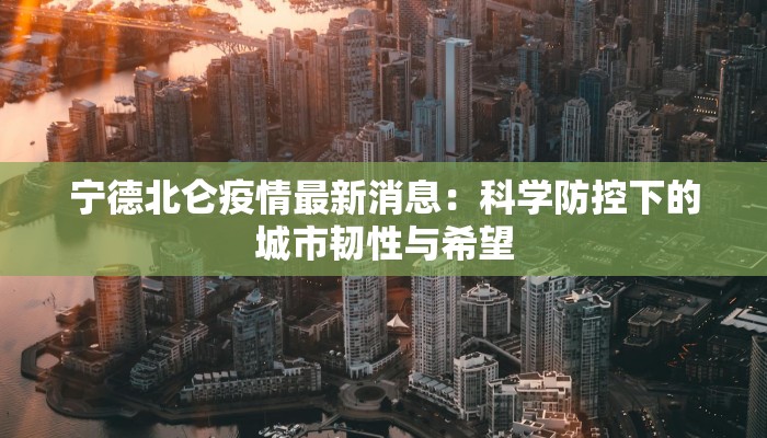 宁德北仑疫情最新消息：科学防控下的城市韧性与希望