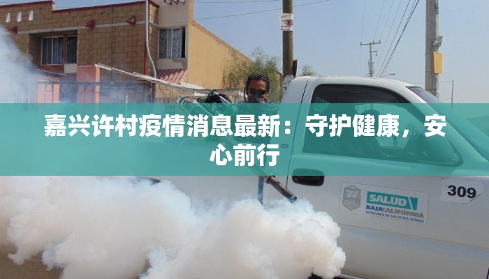 嘉兴许村疫情消息最新：守护健康，安心前行