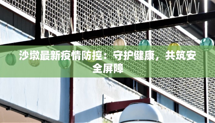 沙墩最新疫情防控：守护健康，共筑安全屏障