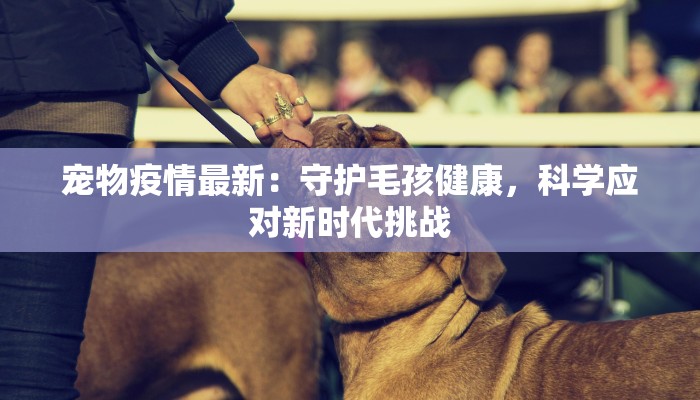 宠物疫情最新：守护毛孩健康，科学应对新时代挑战