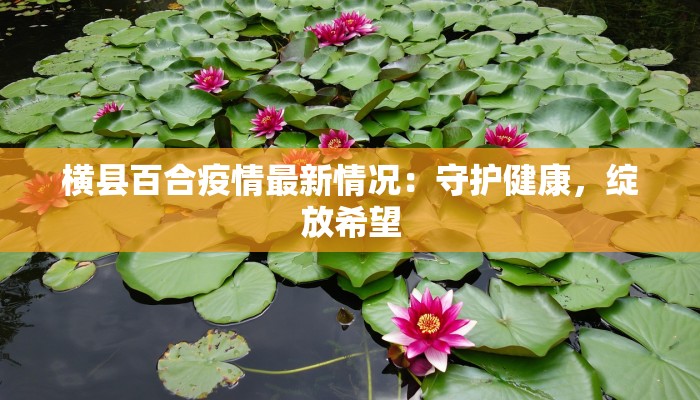横县百合疫情最新情况：守护健康，绽放希望