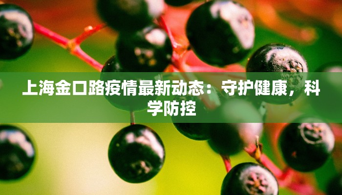上海金口路疫情最新动态：守护健康，科学防控