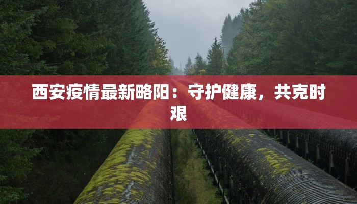西安疫情最新略阳：守护健康，共克时艰