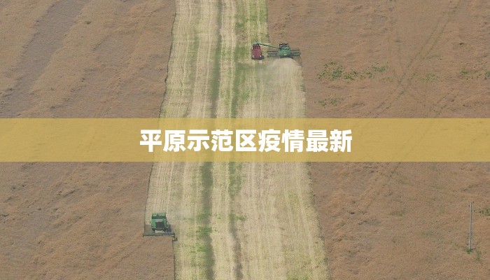 平原示范区疫情最新