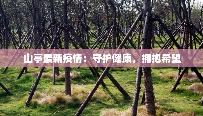 山亭最新疫情：守护健康，拥抱希望