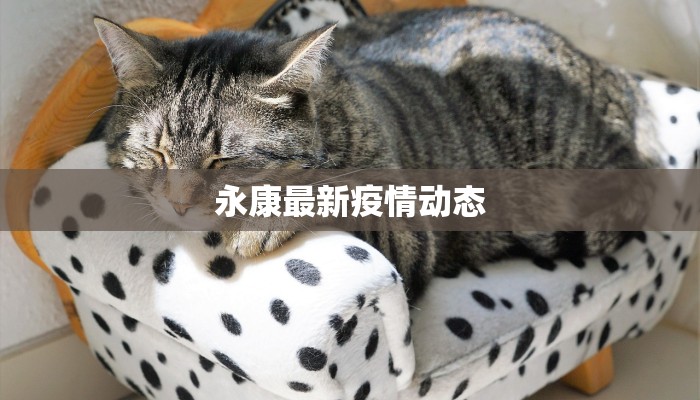 永康最新疫情动态