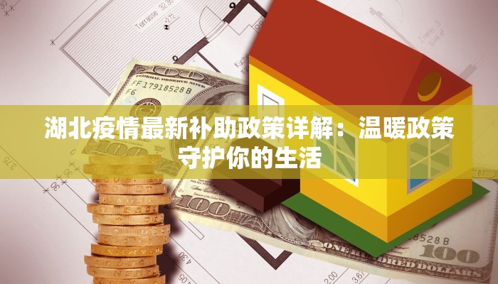 湖北疫情最新补助政策详解：温暖政策守护你的生活