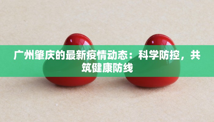 广州肇庆的最新疫情动态：科学防控，共筑健康防线