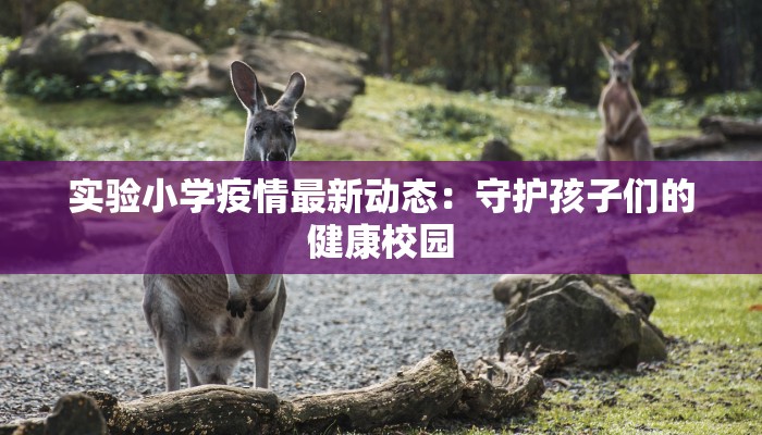 实验小学疫情最新动态：守护孩子们的健康校园