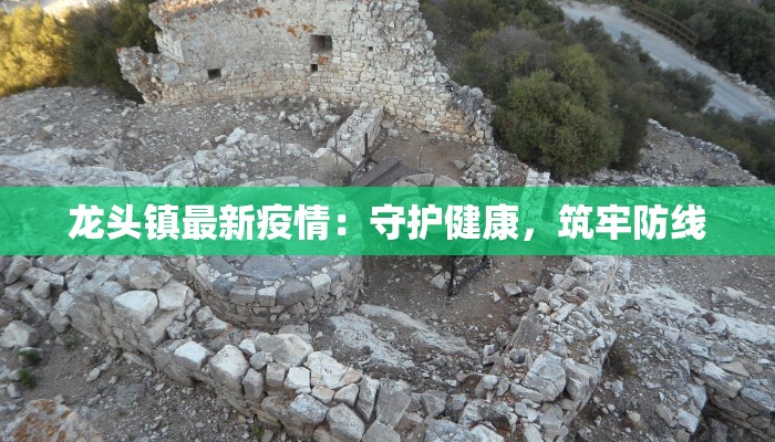 龙头镇最新疫情：守护健康，筑牢防线
