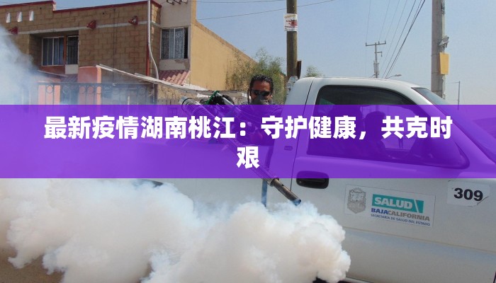 最新疫情湖南桃江：守护健康，共克时艰