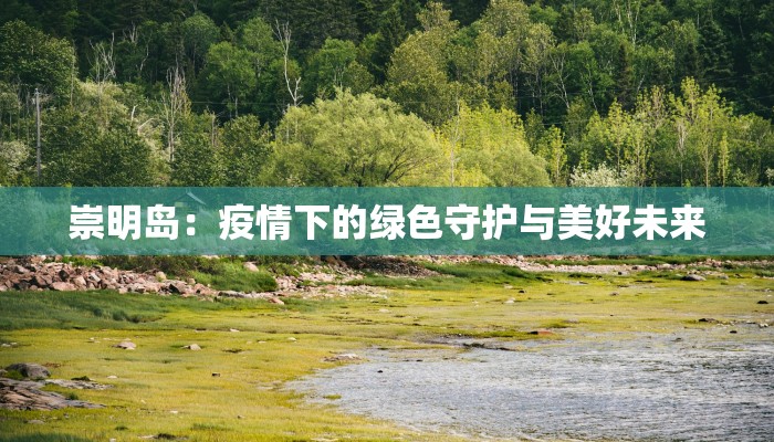 崇明岛：疫情下的绿色守护与美好未来