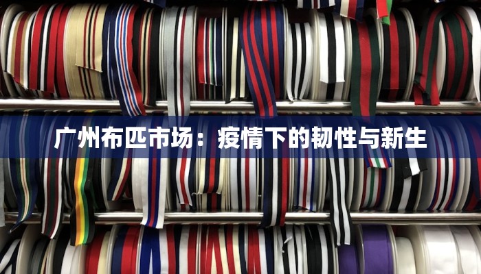 广州布匹市场：疫情下的韧性与新生