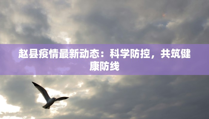赵县疫情最新动态：科学防控，共筑健康防线