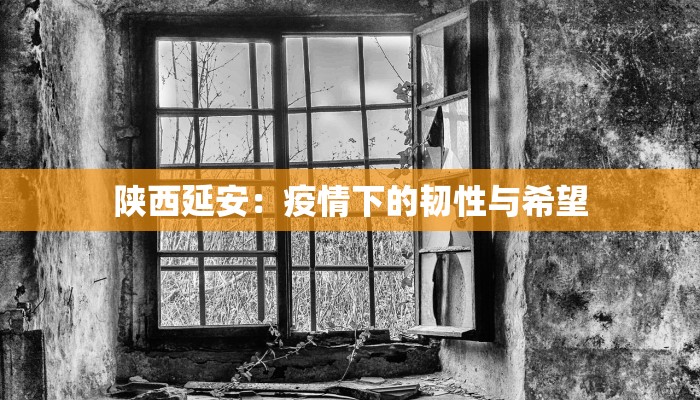 陕西延安：疫情下的韧性与希望