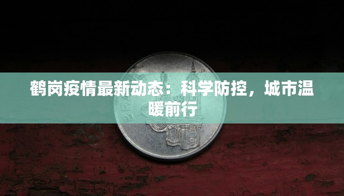 鹤岗疫情最新动态：科学防控，城市温暖前行