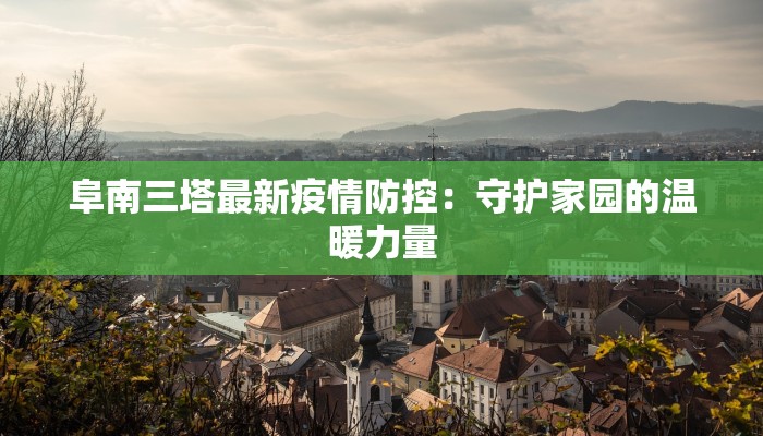 阜南三塔最新疫情防控：守护家园的温暖力量