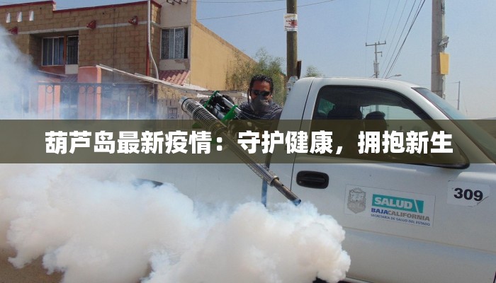 葫芦岛最新疫情：守护健康，拥抱新生