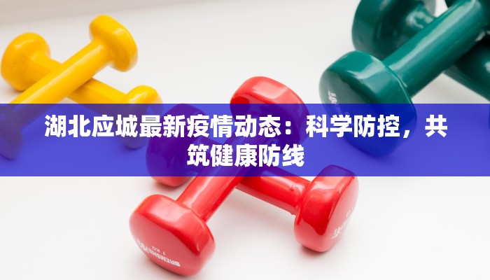 湖北应城最新疫情动态：科学防控，共筑健康防线
