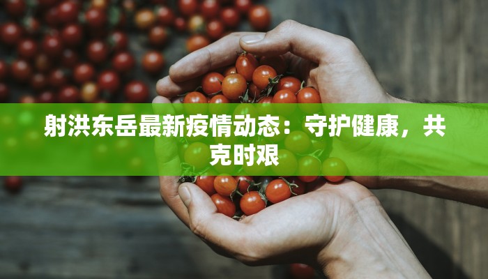 射洪东岳最新疫情动态：守护健康，共克时艰