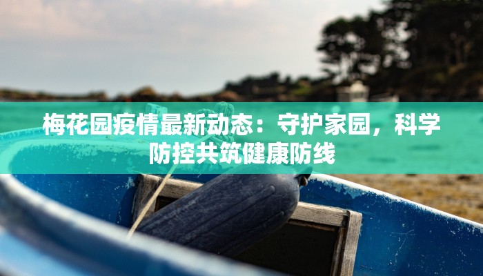 梅花园疫情最新动态：守护家园，科学防控共筑健康防线