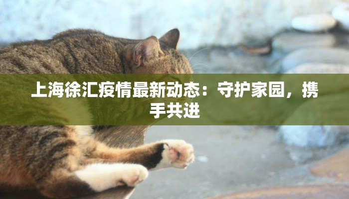 上海徐汇疫情最新动态：守护家园，携手共进