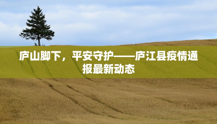 庐山脚下，平安守护——庐江县疫情通报最新动态