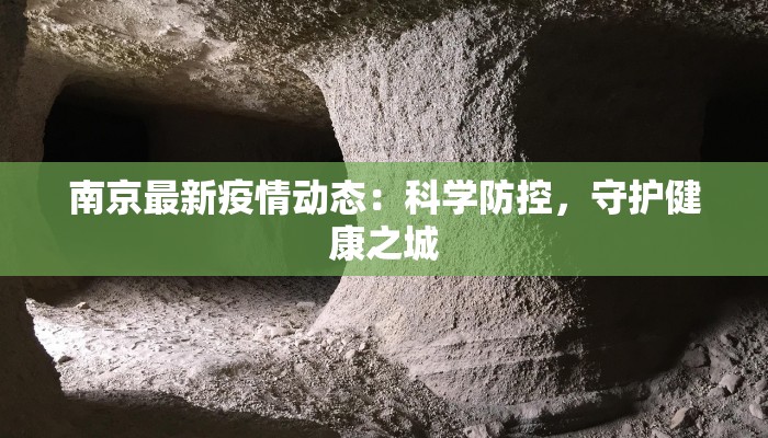 南京最新疫情动态：科学防控，守护健康之城