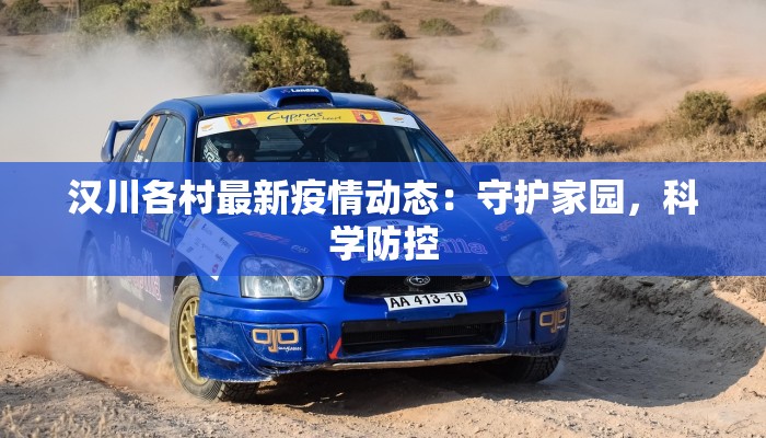 汉川各村最新疫情动态：守护家园，科学防控