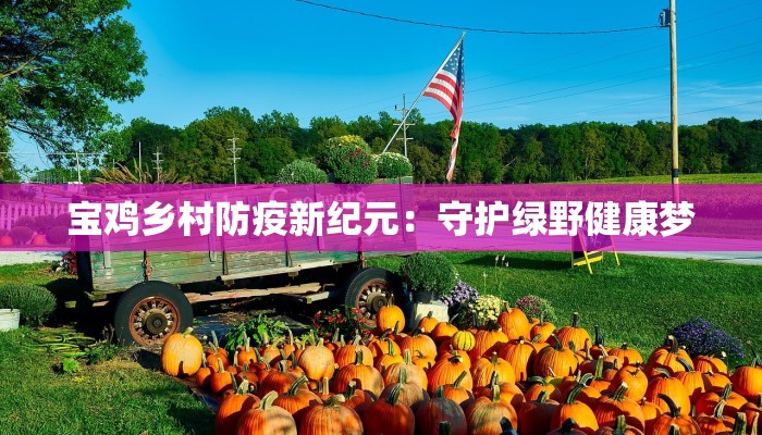 宝鸡乡村防疫新纪元：守护绿野健康梦
